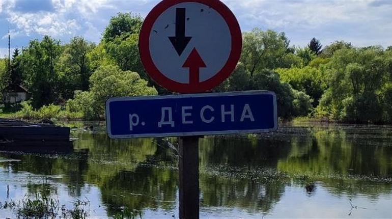Якість води в Десні поруч з Шосткинським районом викликає занепокоєння