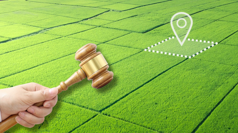 У Сарненській громаді на аукціоні продадуть право оренди земельних ділянок