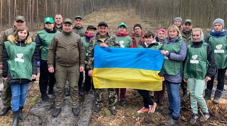 На Кременеччині садять ліс: посадки запланували у всіх лісництвах