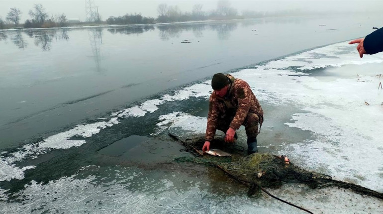 Засідка для полювання і фермерство в нацпарку : у Нижньодністровському НПП виявили грубі порушення
