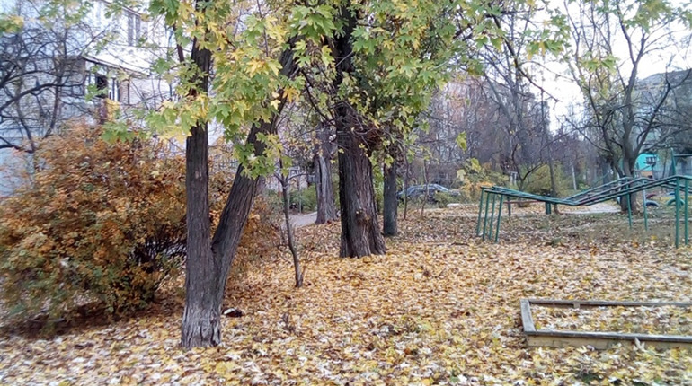 Сніг і мороз: погода в неділю