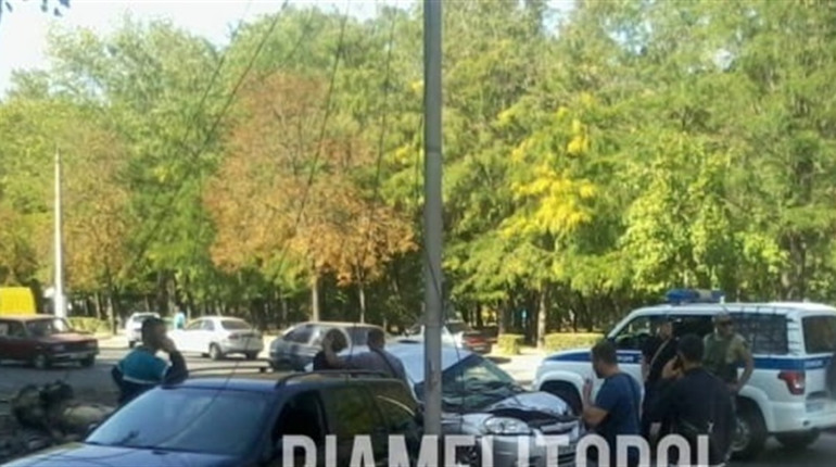 В центрі Мелітополя дерево впало на проїжджаюче повз авто