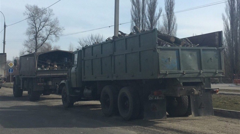 Обгоревший на Херсонщине лес вывозят военными машинами