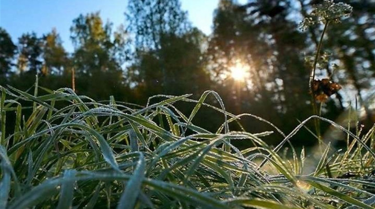 Прогноз погоди на Сарненщині: зима повертається?