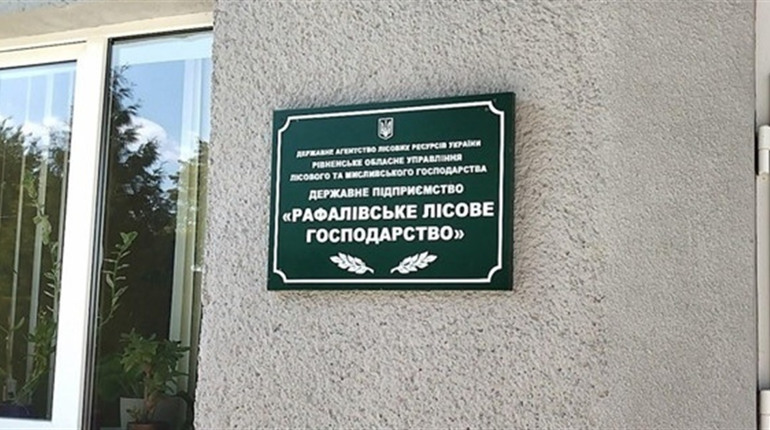 У Рафалівському лісгоспі аудитори виявили порушень і недоліків на мільйони гривень - про що мова?