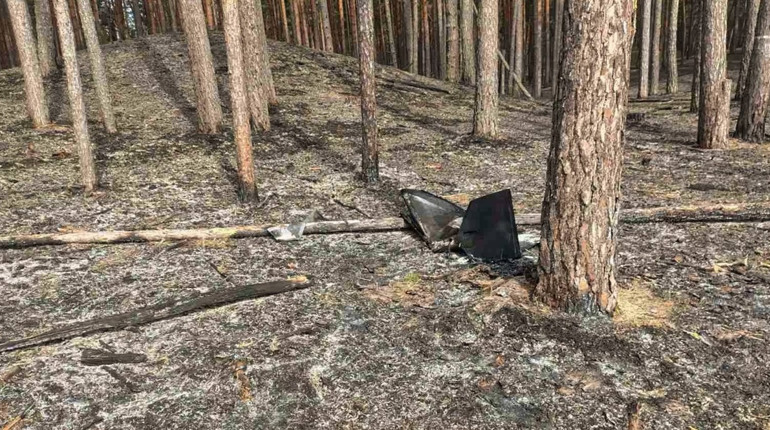 У Гадячі загасили лісову пожежу після падіння уламків дрона