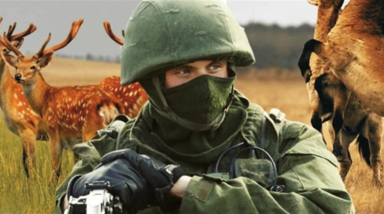В Асканії-Новій окупанти шукали дезертирів та зброю