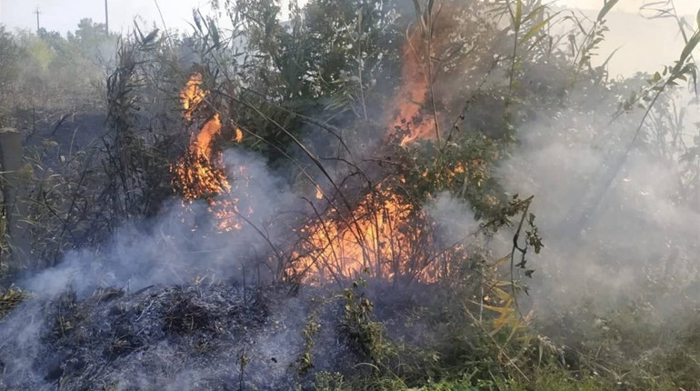 У Сватовому на Зоряній горіла суха трава та очерет