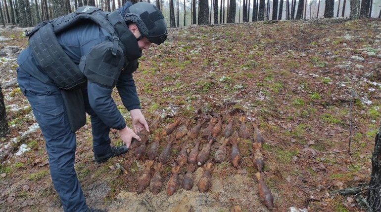 У Сарненському районі знищили 29 мін часів Другої світової війни