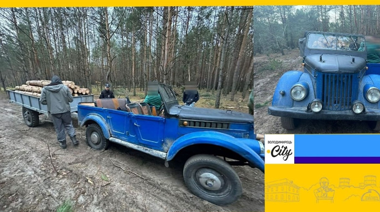 У Вараському районі впіймали лісокрадіїв. Деревину передадуть на потреби ЗСУ