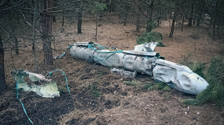 Ракета Х-59 «Овод» близько семи метрів завдовжки, вагою 930 кг знайшли на узліссі (відео)