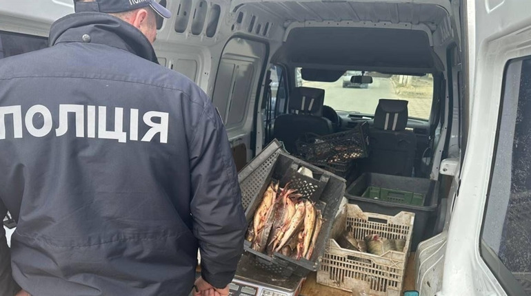 На Одещині чоловіка зупинили за порушення правил дорожнього руху, а він виявився браконьєром
