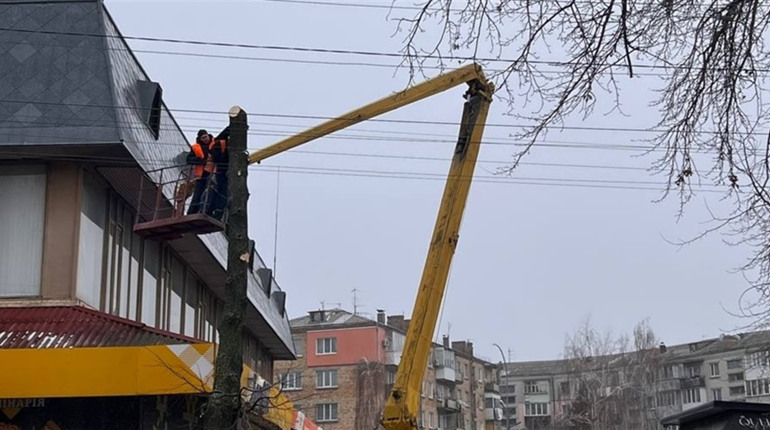 Дерева і люди з бензопилою: комунальники пояснили, що роблять біля "Критого ринку" в Переяславі