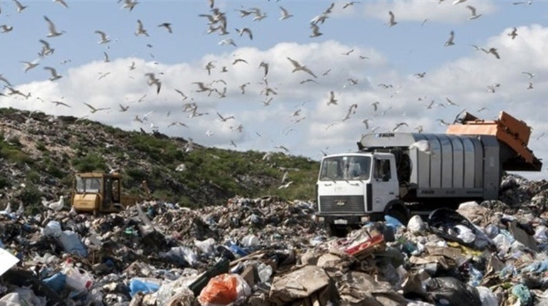 У Городку готують проєкт сучасного полігону для сміття. Де він буде розміщений