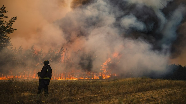 У 2025 році в Україні зменшилась площа лісових пожеж