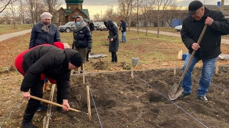 У Сватовому на Веселій висадили 200 кущів троянд: подробиці