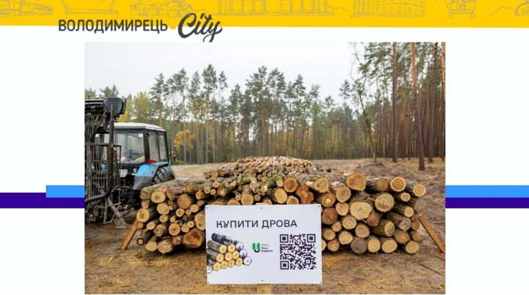 "ДроваЄ": зручний онлайн магазин дров від Рафалівського лісництва