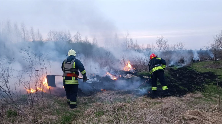 Пожежі в Глухові та Семенівці. Рятувальники нагадують: не можна палити сухостій