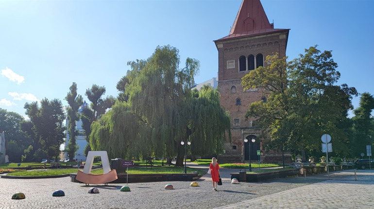 Майстер-класи і фото у фарбі холі: як у Дрогобичі відзначатимуть День молоді