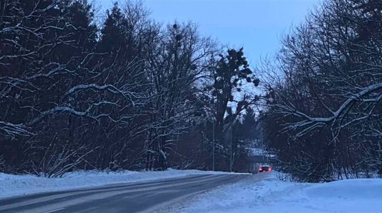 Погода у Старокостянтинові на 9-15 лютого: морози відступають