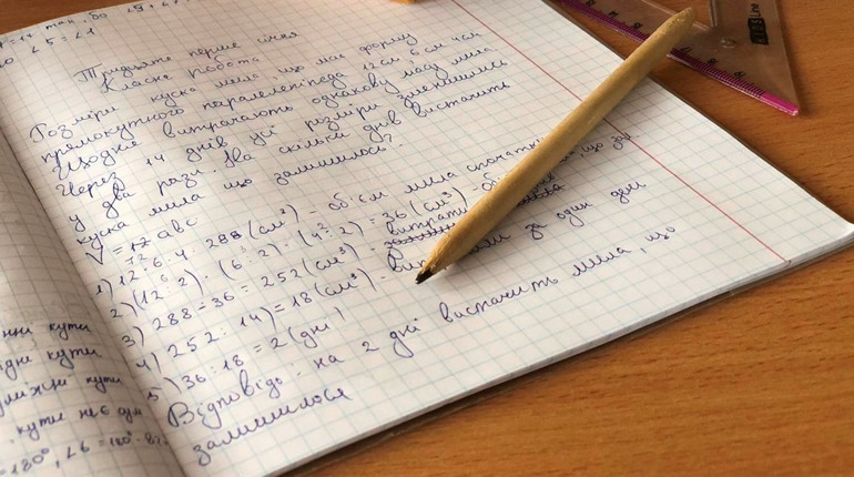 У навчальних закладах Переяслава запроваджують дистанційне навчання через віруси