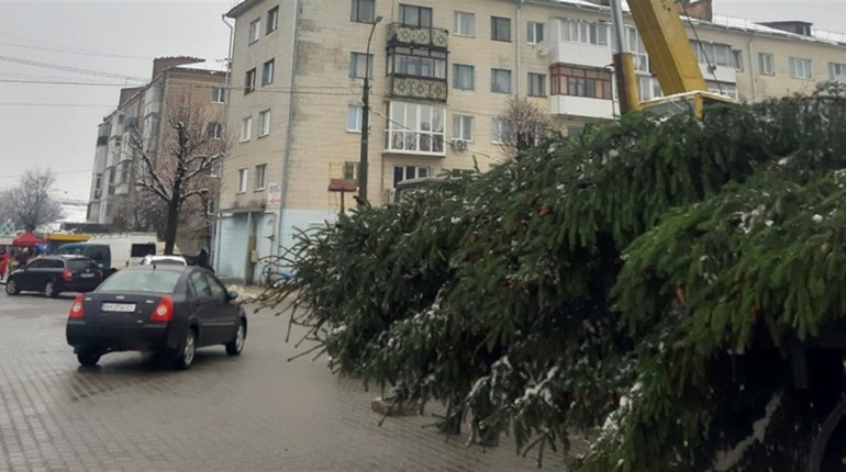 Свято починається: на центральну площу привезли новорічну ялинку