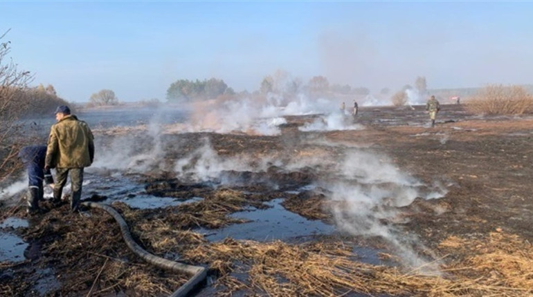 У Київській області горять торф'яники: що робити у разі задимлення міста