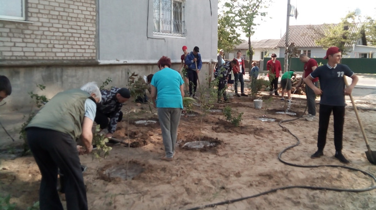 Активісти Нової Каховки борються з незаконними забудовами нестандартними методами
