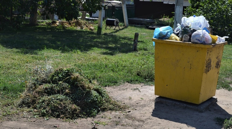 Інспекція з благоустрою Біляївки просить жителів не зносити бур’ян до контейнерів: яка альтернатива
