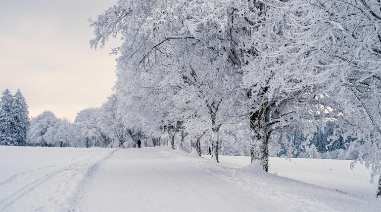 Погода у Барі на 12–18 січня: морози, хмарність і трохи снігу
