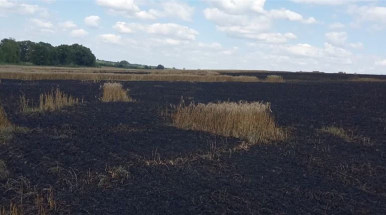 В Білопільській громаді через ворожі обстріли згоріло 22 гектари пшениці і ушкоджено два автомобілі