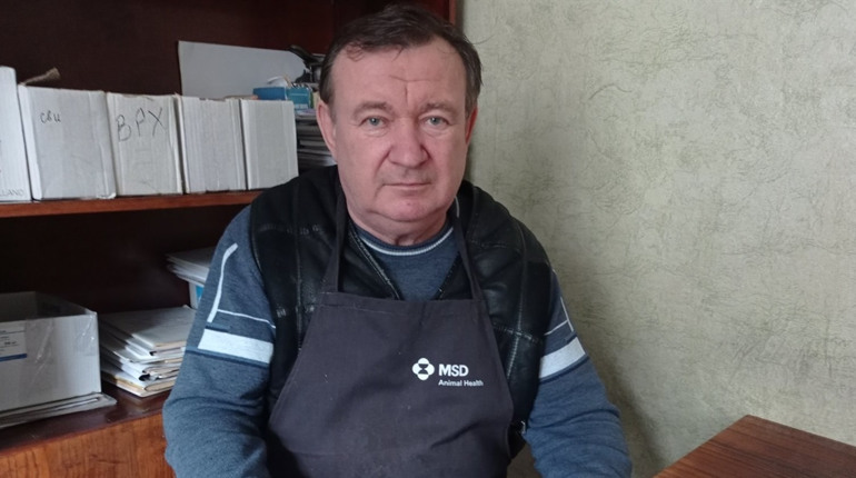 «Найкраща допомога — це будка і їжа»: лікар про хвороби, стерилізацію тварин та роботу ветклініки