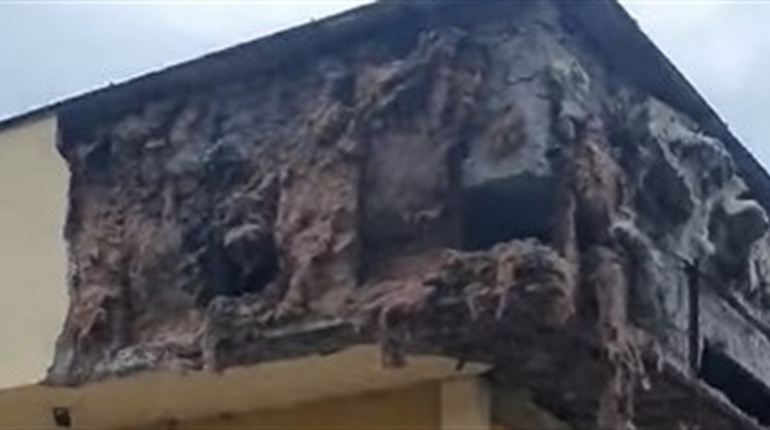 У Бориславі обвалилась частина даху колишнього кінотеатру “Каменяр”: коли ремонтували приміщення