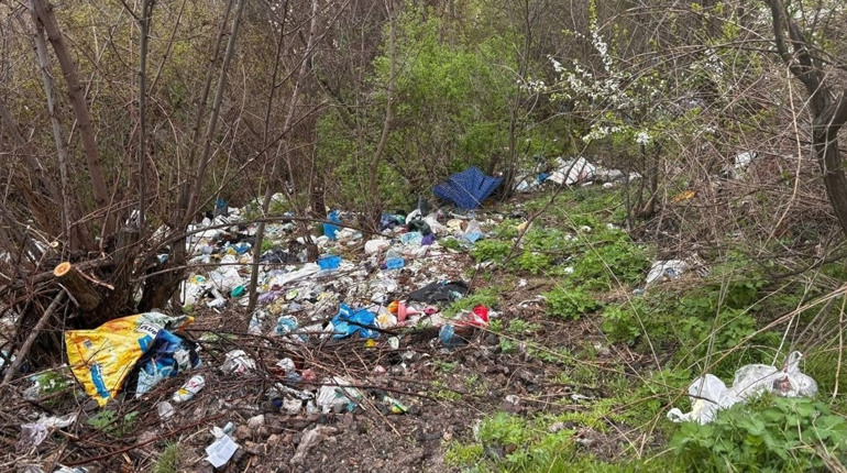 Стихійні звалища у Первомайську: що повідомила міськрада, а які питання залишилися без відповіді