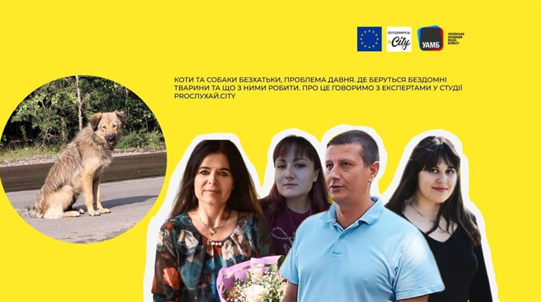 Собаки та коти безхатьки – що з нашою мораллю не так? Журналісти пробують вирішити проблему