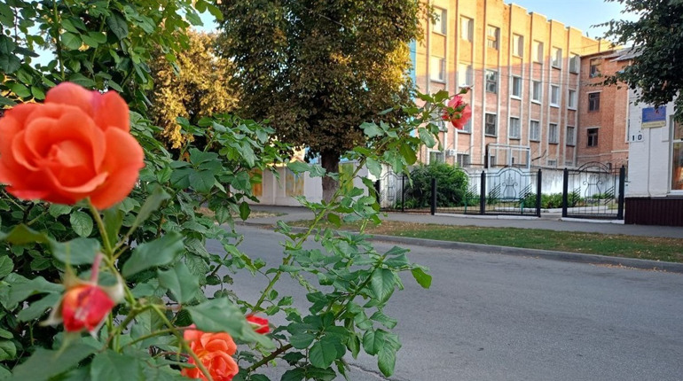 Хмарно, проте, без опадів: якою буде погода у Гадячі цього тижня