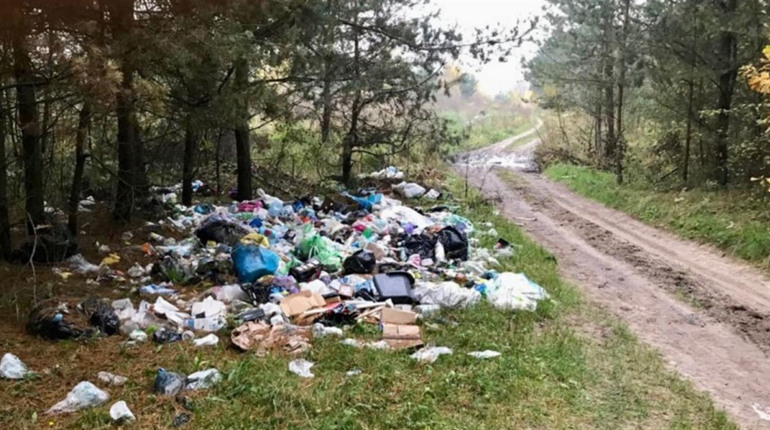 На Сумщині виявили 86 сміттєзвалищ. Яка ситуація у Тростянецькій громаді з неправильною утилізацією?