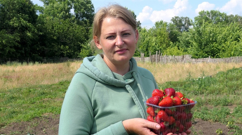 Олена Вареник: "Вирощую полуницю без краплі хімікатів, бо ягоди купують маленьким дітям"
