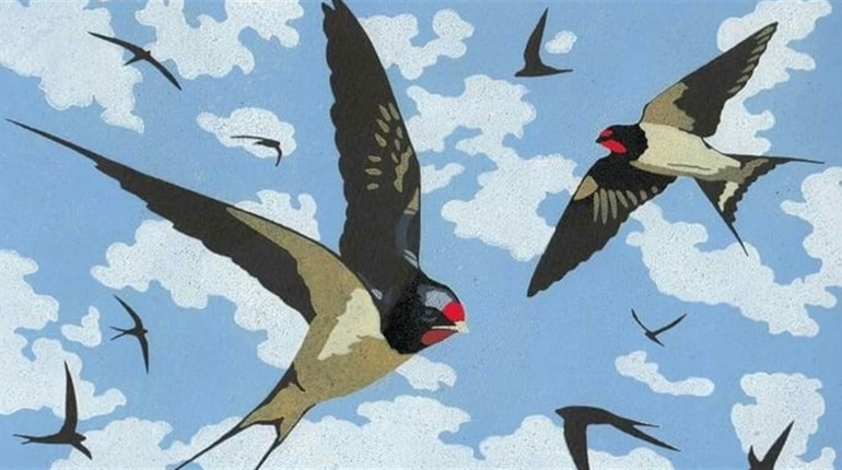 Чому ластівка прилітає взимку: історія Щедрого вечора від найдавніших часів