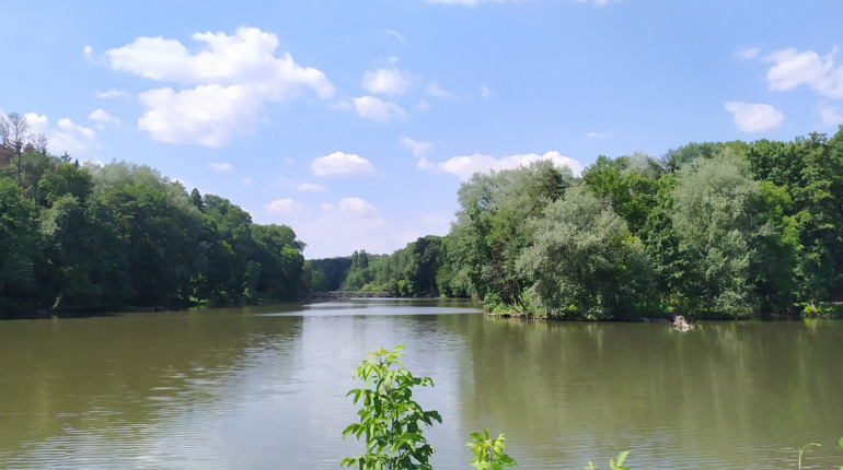 Вода у ставку зелена: Причини, наслідки, як запобігти