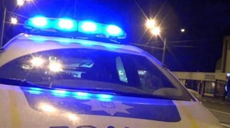 Моторошна знахідка: на Житомирщині поруч з гаражами виявили людську кінцівку