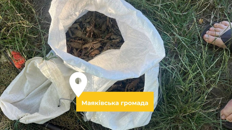 Два жителя села Маяки наловили під час заборони на Дністрі раків на 1 млн грн: одному з них 16 років