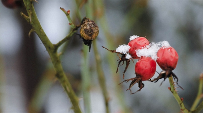 Радіаційний стан навколо Хмельницької АЕС за минулий тиждень