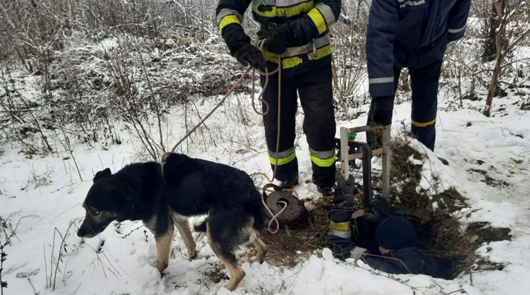 На Фастівщині надзвичайники врятували собаку, який впав у каналізацію
