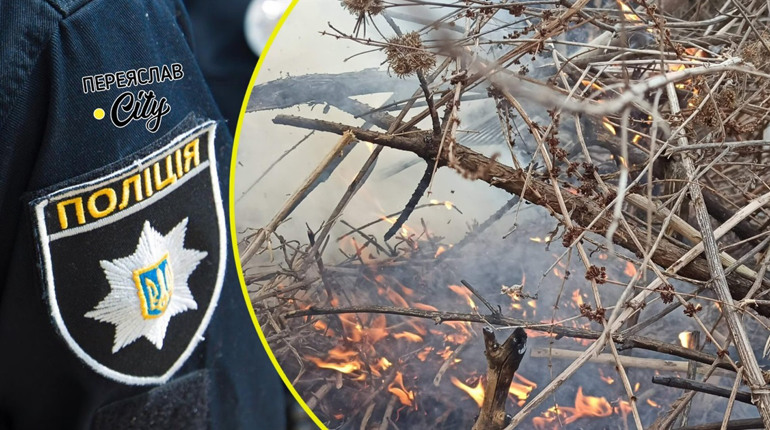 Переяславка поскаржилася, що комунальники підпалили обрізані дерева біля річки: хроніка поліції
