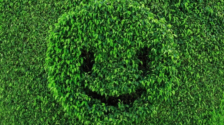 Green Art чи топіар: мистецтво фігурної стрижки рослин. Спробуймо!