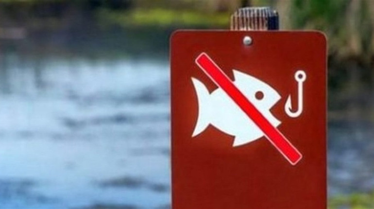 На Полтавщині стартувала заборона на вилов риби в зимувальних ямах: що потрібно знати