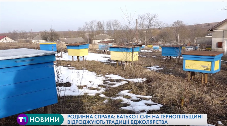 Сімейна справа: на Чортківщині батько і син відроджують бджолярство