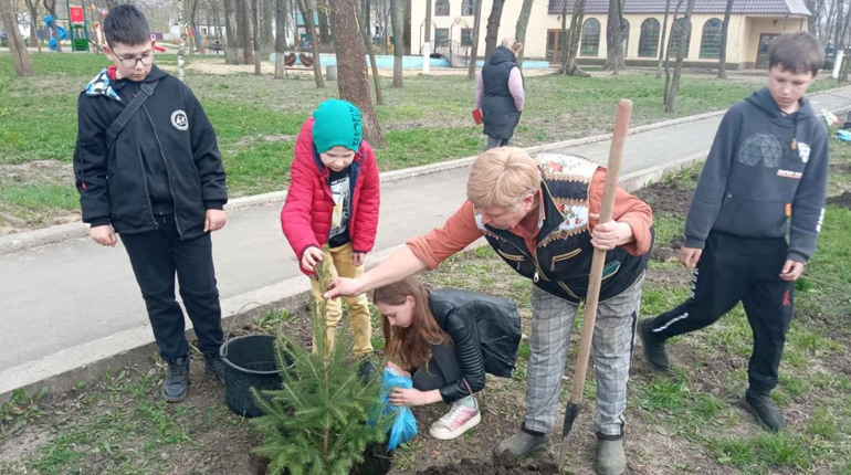 Зелена ініціатива: вихованці Балтського ЦПТ виростили й висадили в місті хвойні дерева