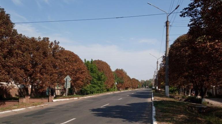 Тест: як називалися сватівські вулиці до декомунізації